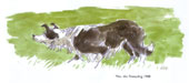 'Mot the Sheepdog'
