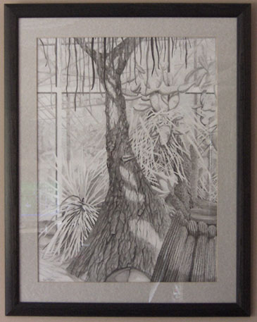 "Plantasia"