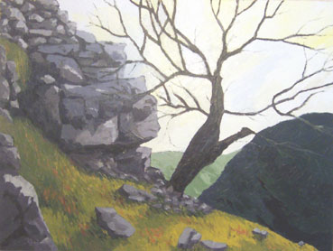 Above Craig Y Nos
